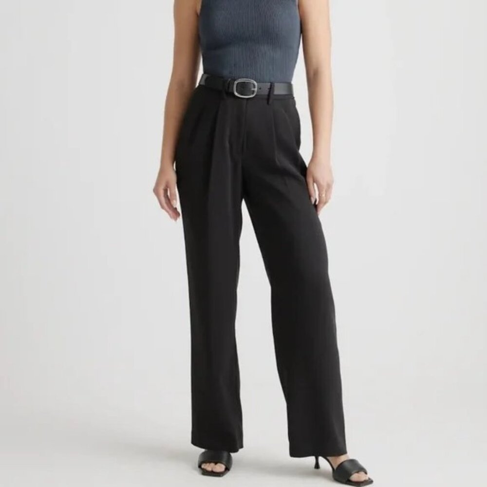 Quince Stretch Crepe Pleated Wide Leg Pants 2/30